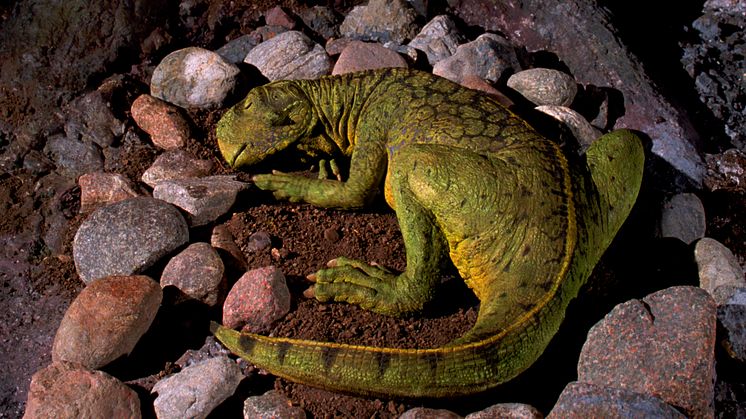 Utställningen MiniDino öppnar med barnens favoriter på Naturhistoriska riksmuseet.