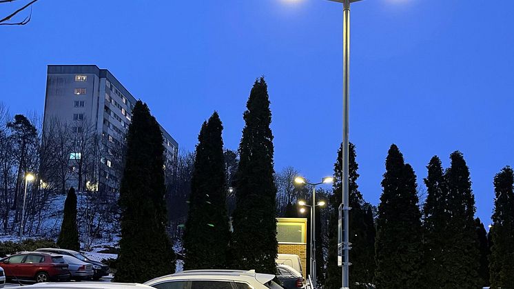 5211228-8Bred24_kvadrat.jpg