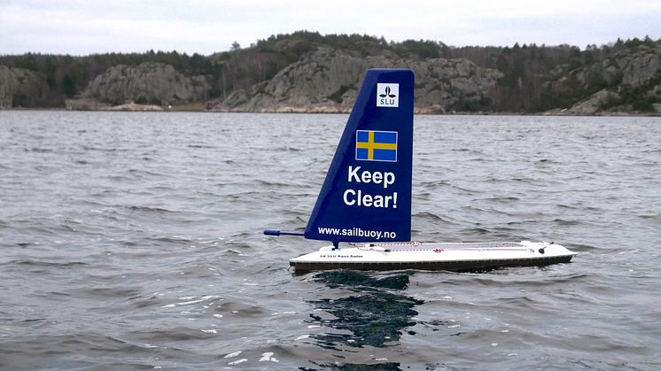 SLU Aqua Sailor är en obemannad seglande drönare som kan användas för datainsamling för forskning och miljöövervakning . Foto: Jonas Hentati-Sundberg