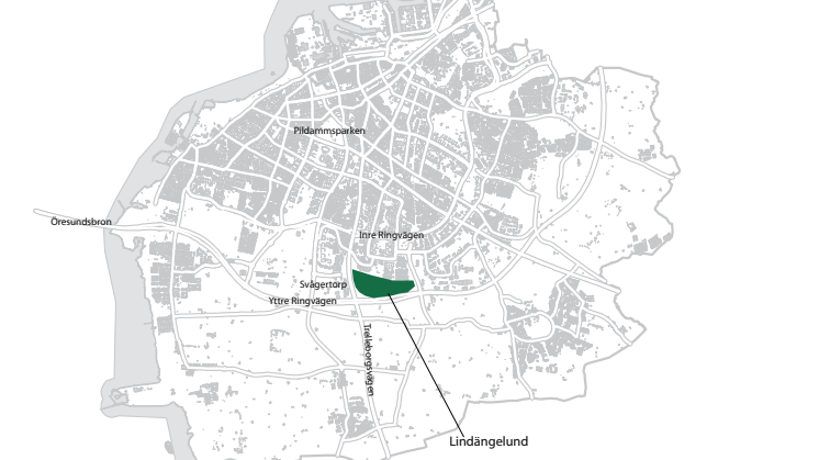 Orienteringskarta