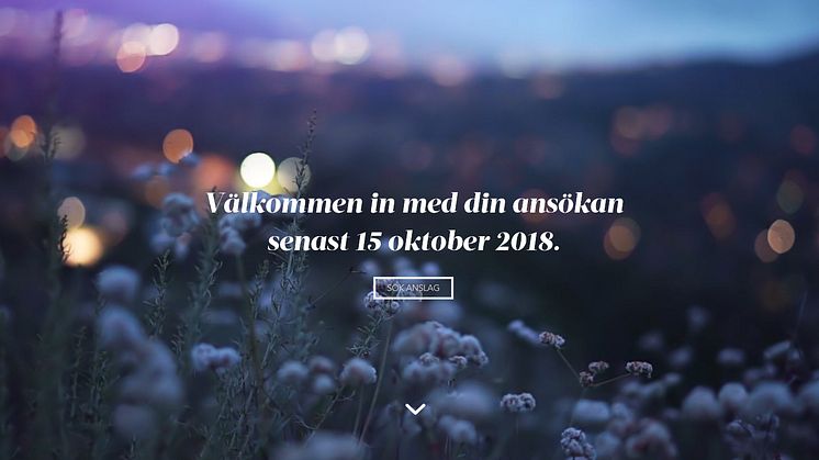 LBF forskningsstiftelse - ansök innan 15 oktober