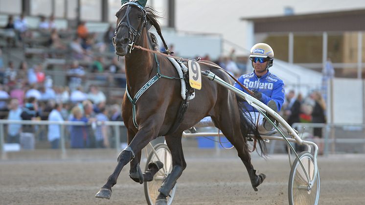 Your Highness inbjuden till Elitloppet