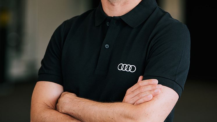 Neel Jani, Audi Formel 1 simulatorkører