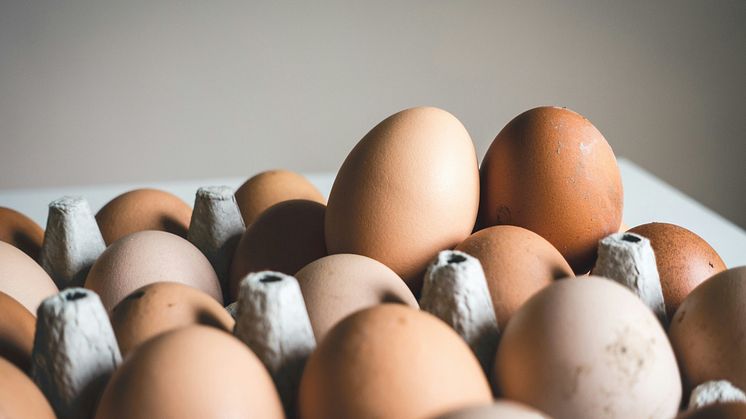 Bara ägg från frigående höns i alla Axfoods egna märkesvaror
