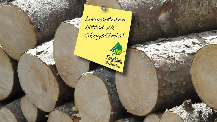 Stenhård konkurrens om det sydsvenska virket – köparna satsar hårt på SkogsElmia