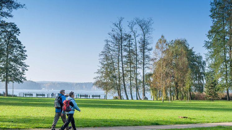 Wandern am Wasser wird in Brandenburg groß geschrieben. Foto: TMB Fotoarchiv / Steffen Lehmann