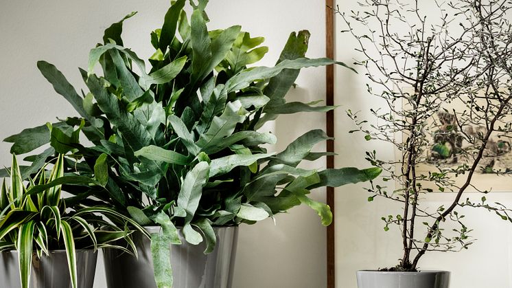 ILSE CRAWFORD X IKEA(3)
