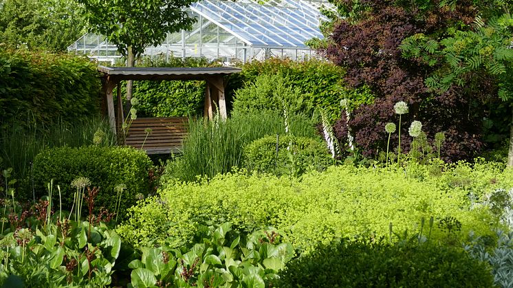 Alnarps rehabiliteringsträdgård bjuder på lugn och skönhet. Foto: Marianne Persson, SLU