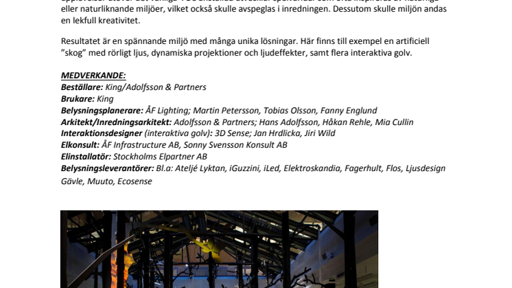 Fakta om årets finalister i tävlan om Svenska Ljuspriset