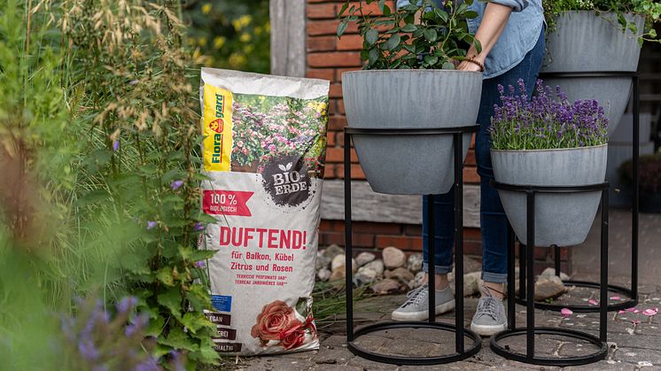 Floragard_Bio-Erde Duftend