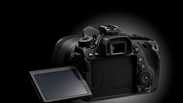 EOS 80D EF-S 18-135mm USM BEAUTY 6