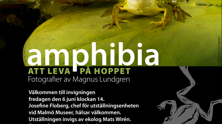 Inbjudan invigning av Amphibia