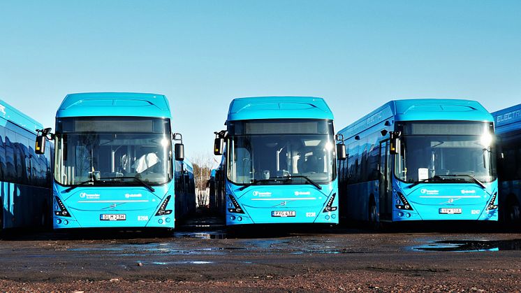 Elbussar_Göteborg2