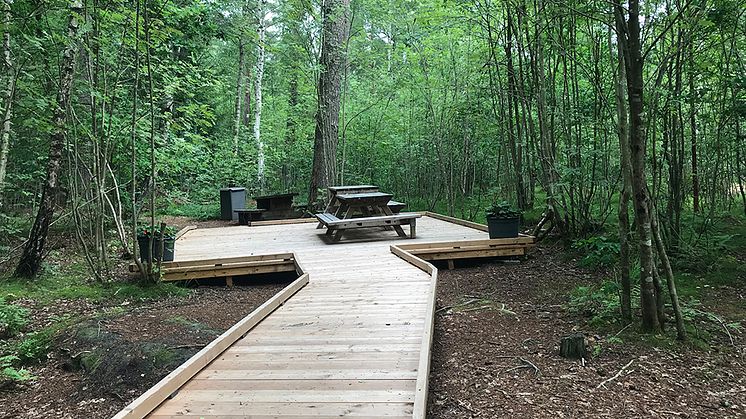 Nu ska planen för Ängelholms stadsnära skogar sättas i verket