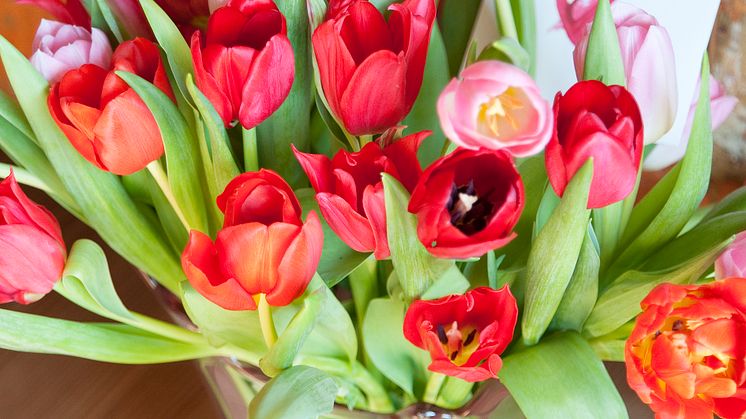 Fira Alla Hjärtans Dag med säsongens blommor