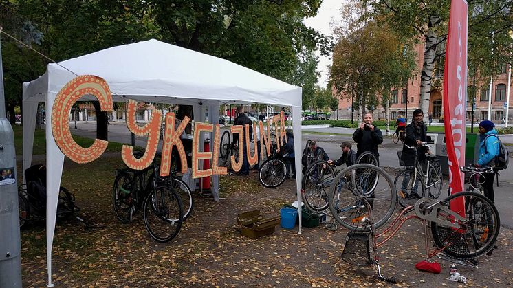 Umeås cykeljunta