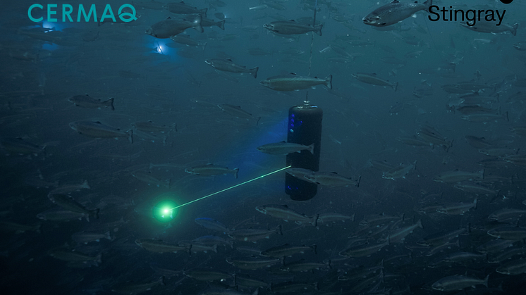 Laser1