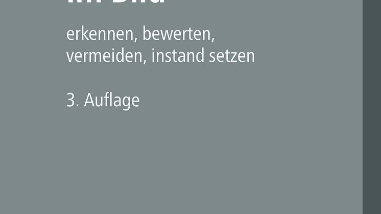 Typische Bauschäden im Bild, 3. Auflage (2D/tif)