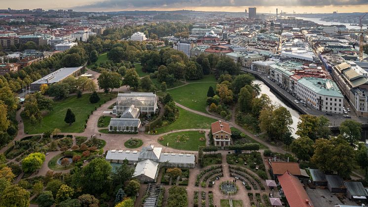 Gröna stråket i Trädgårdsföreningen. Foto: Krister Engström