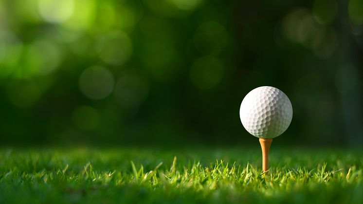 shutterstock_2260933727