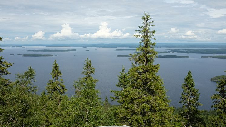 Bygma första bygghandeln i Sweden Green Building Council