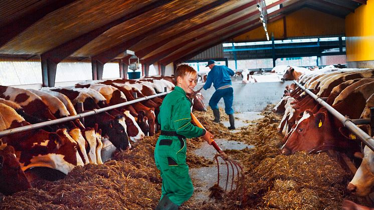 Arla launches 2014 CSR report