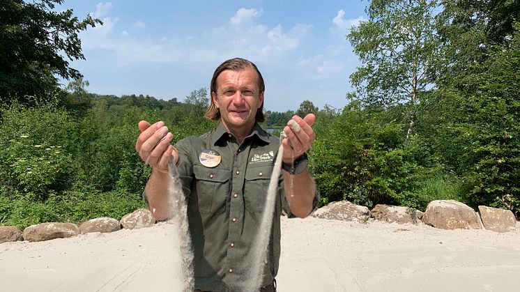 400 ton sand har gått åt till den sandstrand som byggs mitt i Skånes Djurpark.