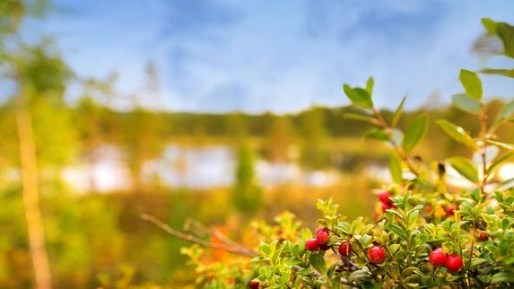 Bergs kommun har tagit höjd för att uppfylla kraven som den nya datasäkerhetsförordningen kommer att kräva 2018. 
