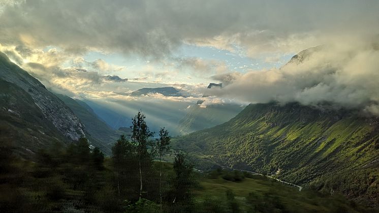 csqyuw nature