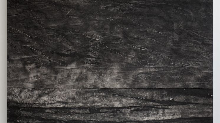 Sam Moyer, Flood Liner I, bläck på duk, 2013