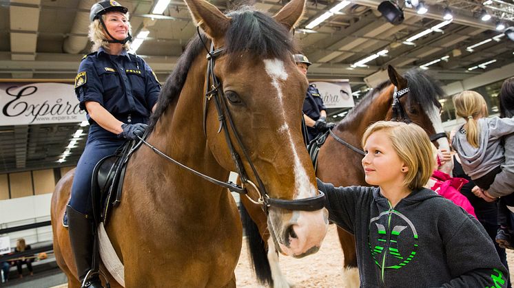Polisens hästar fick stor uppmärksamhet