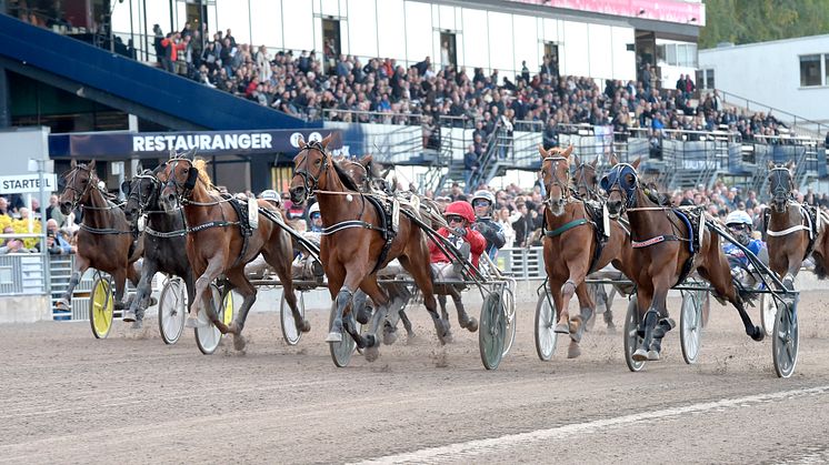 Bonneville W.I. mål