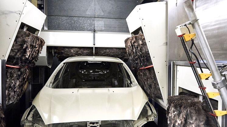 Ford2015_Valencia_Plant_OstrichFeathers_38
