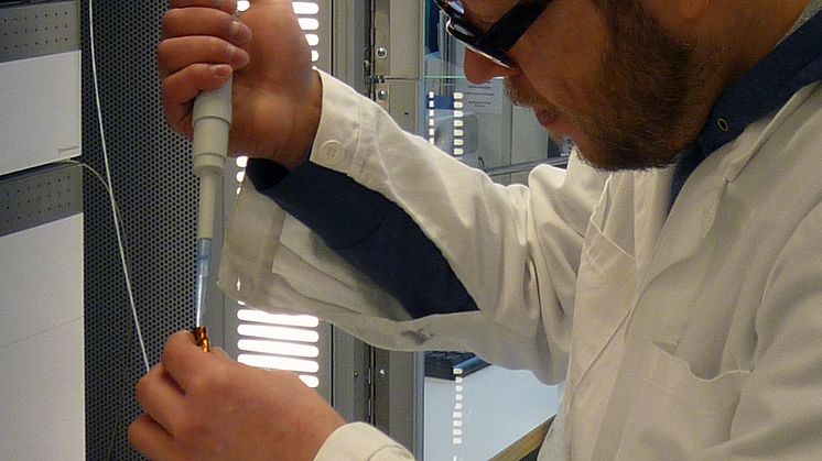 Tekn dr Carl Brunius har mätt halten av galtluktsämnen och visat att vaccination effektivt minimerar galtlukt.