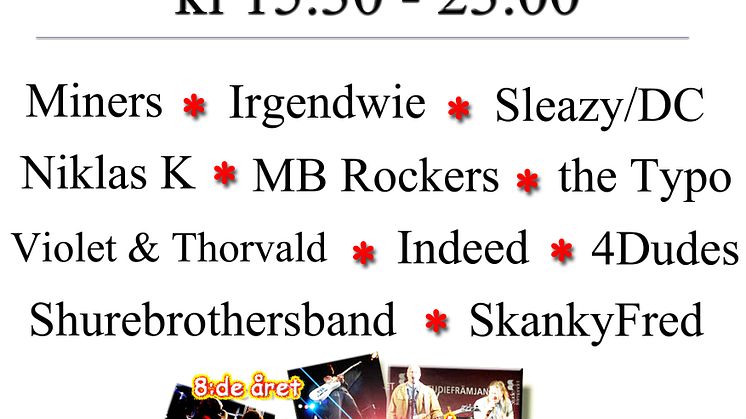 Tillgängliga Hamnrock-festivalen ger förebilder
