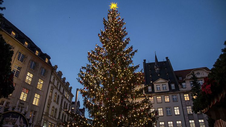 Leipziger Weihnachtsmarkt 2024 - Markt mit Weihnachtsbaum