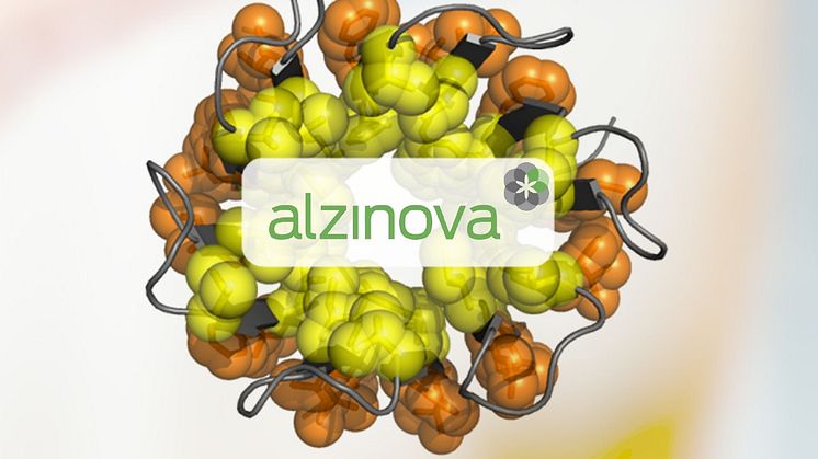 A model of the hexameric Aβ42CC oligomer unit that make up the immunogen in ALZ-101. (Figure courtesy of Prof. Torleif Härd, SLU, Sweden, co-founder of Alzinova.)