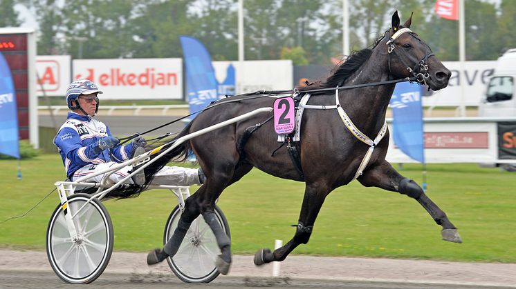 Söndag: Extra V75 på Solvalla med kommande superstjärnor