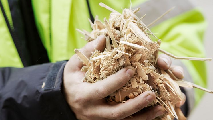 Biomassa är en viktig råvara för produktion av värme och energi