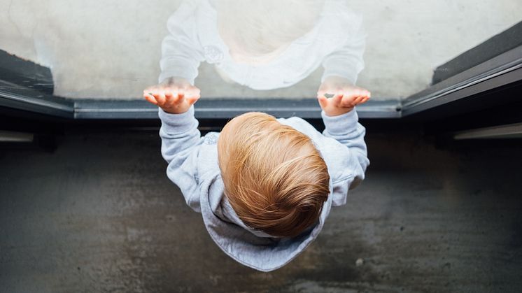 Photo: Paul Hanaoka/Unsplash