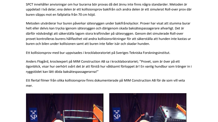 Hundsäkerhet i bil