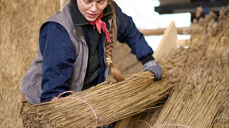 Strå - EK_09733_web-res
