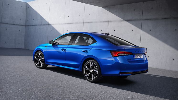 Octavia Sportline FL 2024