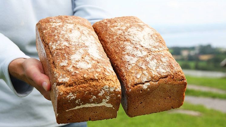 Ousdal brød Baker Hansen