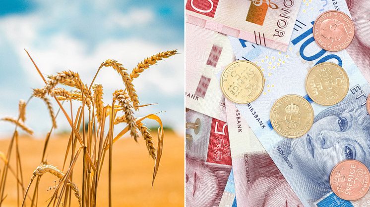 Livsmedelsföretagen: Ökande råvarukostnader leder till höjda matpriser och låg lönsamhet hindrar viktiga investeringar