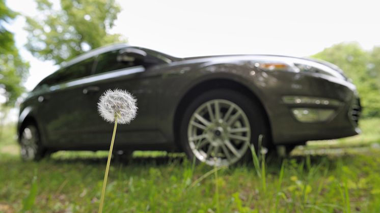 Dra nytta av ogräset: Ford undersöker möjligheten att tillverka komponenter av maskrosor