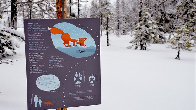 skylt-Prins-Gabriels-skidspår-rävskylt_räv.JPG
