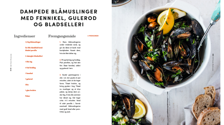 Opskrift: Dampede blåmuslinger med fennikel, gulerod og bladselleri