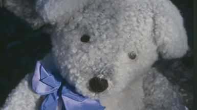 Fototillfälle: Nalleinsamlingen på Junibacken snar slut, tusen nallar flyttar till SOS-Barnbyar i Baltikum