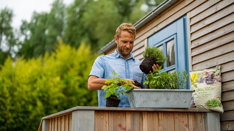 Floragard_Bio-Erde Aromatisch_Kräuter pflanzen